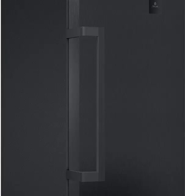 Морозильник Haier H4F306DDH1R фото