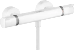 Смеситель Hansgrohe Ecostat Comfort 13116700 фото