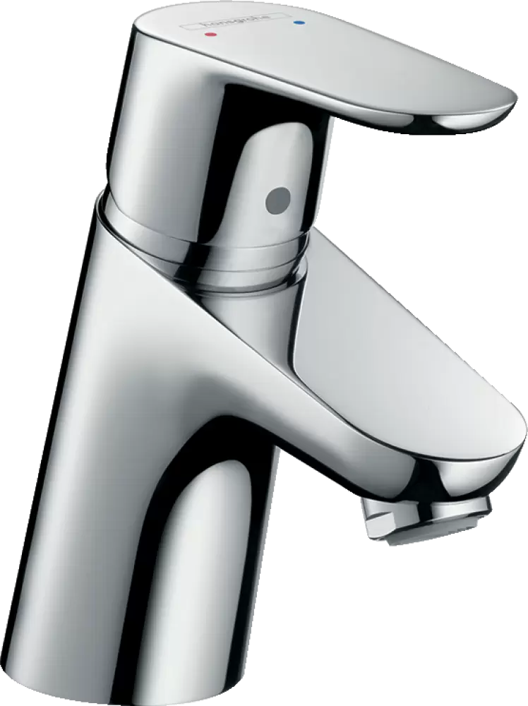 Hansgrohe Focus 31604000