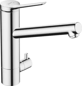 Hansgrohe Zesis 74807000