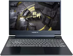 Игровой ноутбук Hasee S8 D63654FH