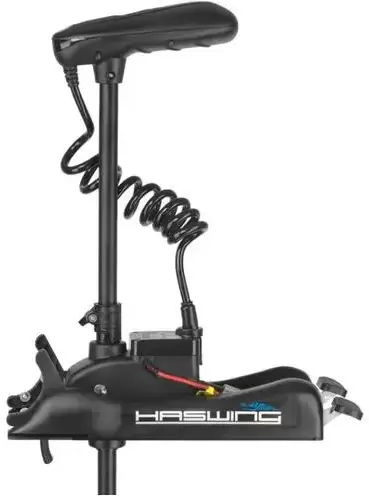 Лодочный мотор Haswing Cayman B 55 lbs GPS фото