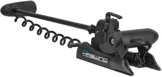 Лодочный мотор Haswing Cayman B 55 lbs GPS фото