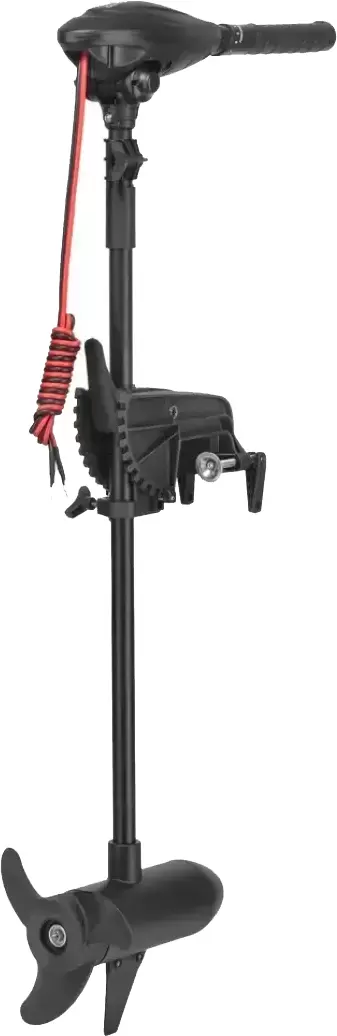 Лодочный мотор Haswing Osapian 40 lbs фото