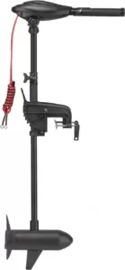 Лодочный мотор Haswing Osapian 40 lbs фото