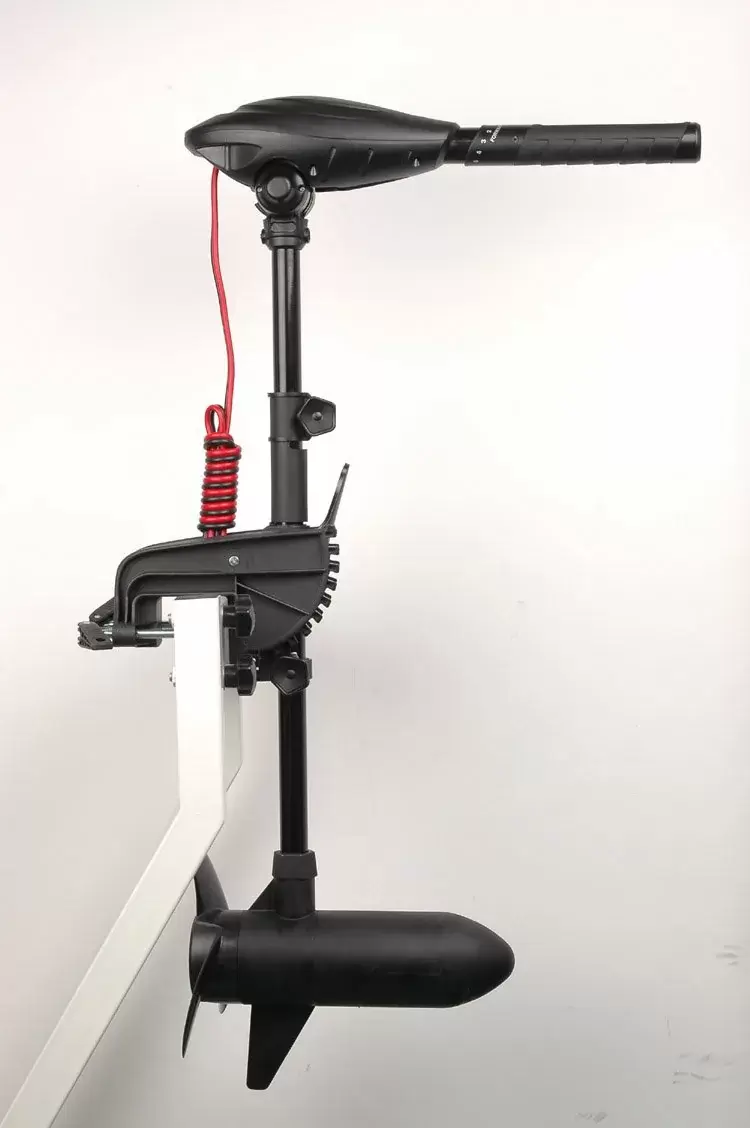 Лодочный мотор Haswing Osapian 55 lbs фото