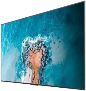 Информационная панель Hisense 100DM66GE фото