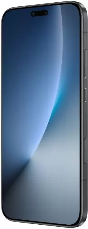 HONOR Magic8 Pro 12GB/256GB международная версия (черный) фото