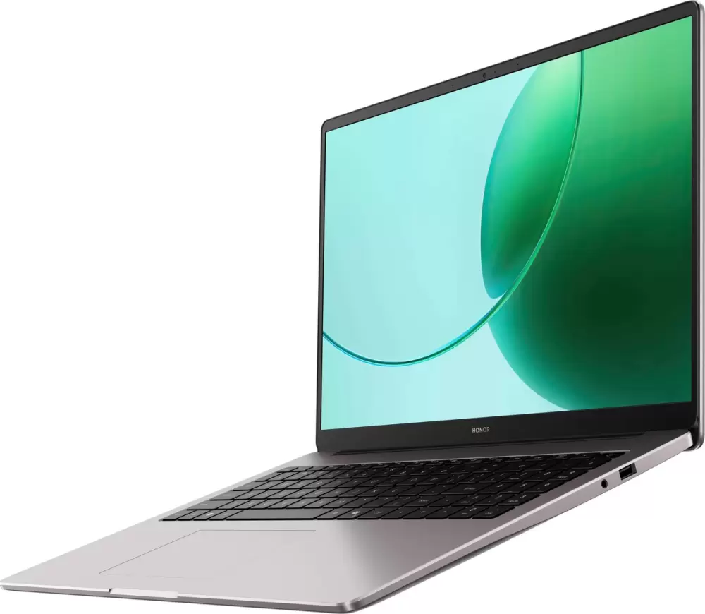 Ноутбук HONOR MagicBook X16 AMD 2025 GOH-X 5301APLM фото