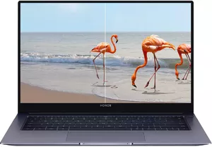 Ноутбук Honor MagicBook X 14 2023 FRI-F58 фото