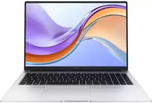 Ноутбук Honor MagicBook X 14 Pro 2023 FRI-G561 5301AHXD фото
