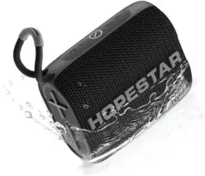 Беспроводная колонка Hopestar H54 (черный) icon