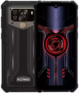 Hotwav W10 Pro 6GB/64GB (серый) фото