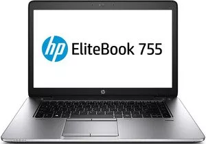 Ноутбук HP EliteBook 755 G2 (F1Q26EA) фото