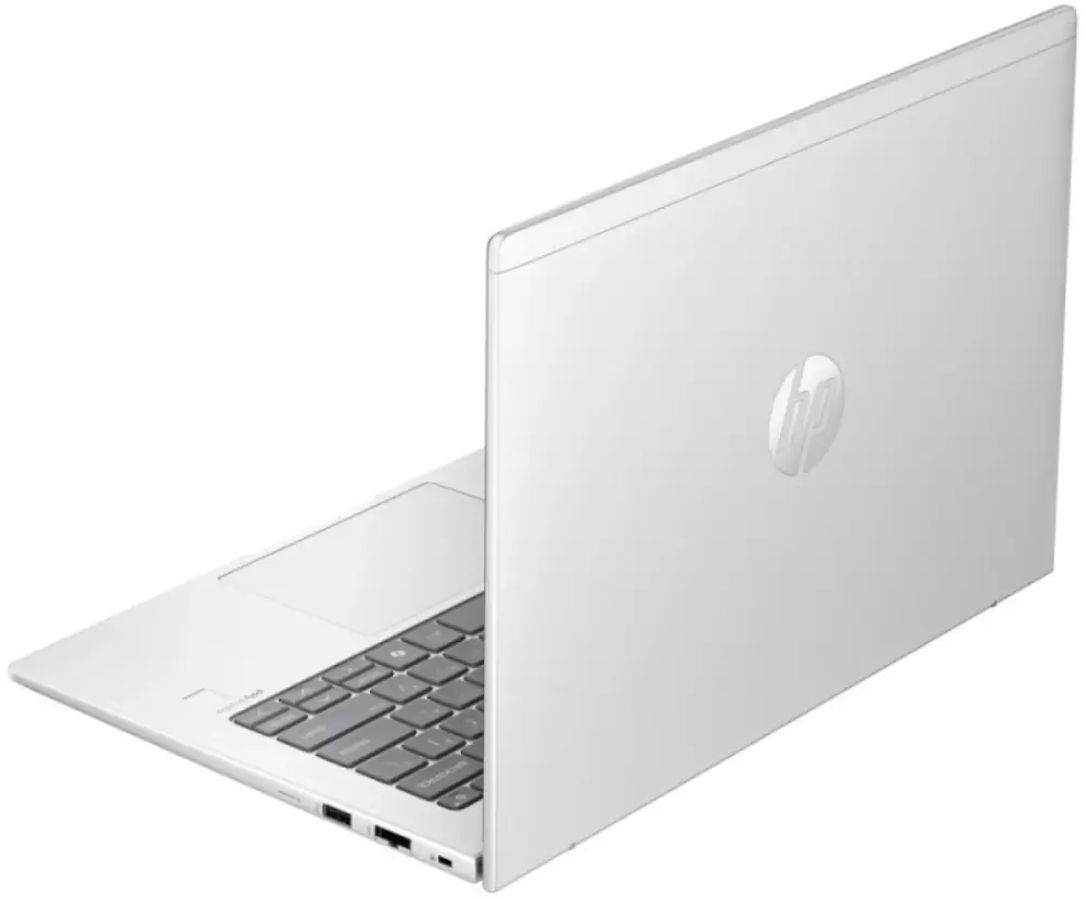 Ноутбук HP ProBook 445 G11 A1RM4UT фото