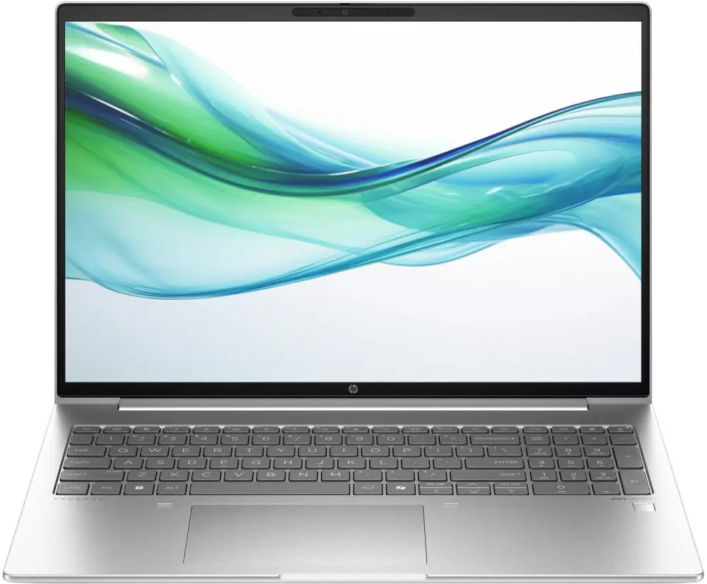 HP Probook 465 G11 (901H4AV)