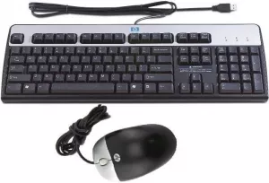 Клавиатура + мышь HP USB Keyboard and Optical Mouse Kit Russian (638214-B21) фото