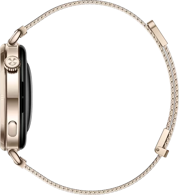 Умные часы Huawei Watch GT 6 41 мм (золотистый, с золотистым миланским браслетом, международная версия) фото