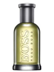 Туалетная вода Hugo Boss Boss Bottled 30 мл фото