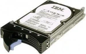 Жесткий диск IBM (49y6107) 300 Gb фото