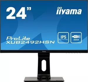 Монитор Iiyama ProLite XUB2492HSN-B1 фото