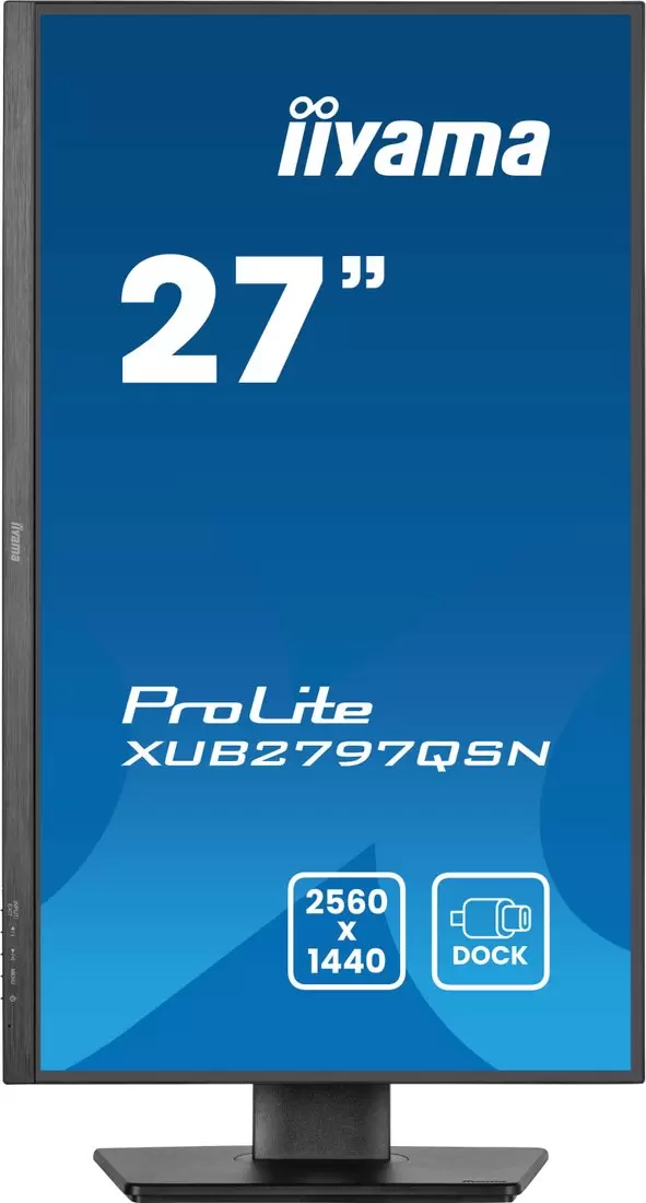 Монитор Iiyama ProLite XUB2797QSN-B2 фото