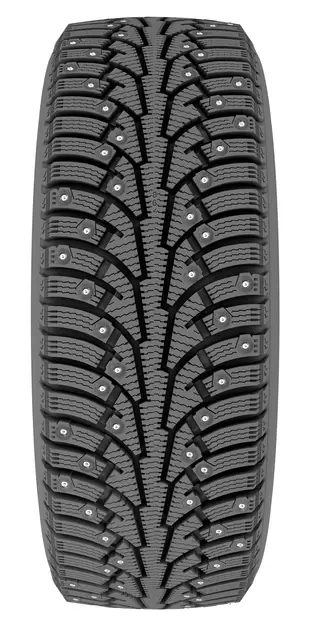 Зимняя шина Ikon Nordman 5 195/55R16 91T фото