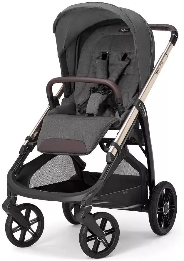 Inglesina Aptica New (velvet grey)