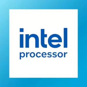 Процессор Intel Processor 300 (OEM) фото