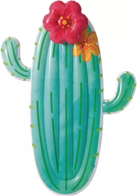 Intex Кактус 58793