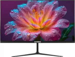 Монитор IRBIS GroovyView IGV22FID01 фото