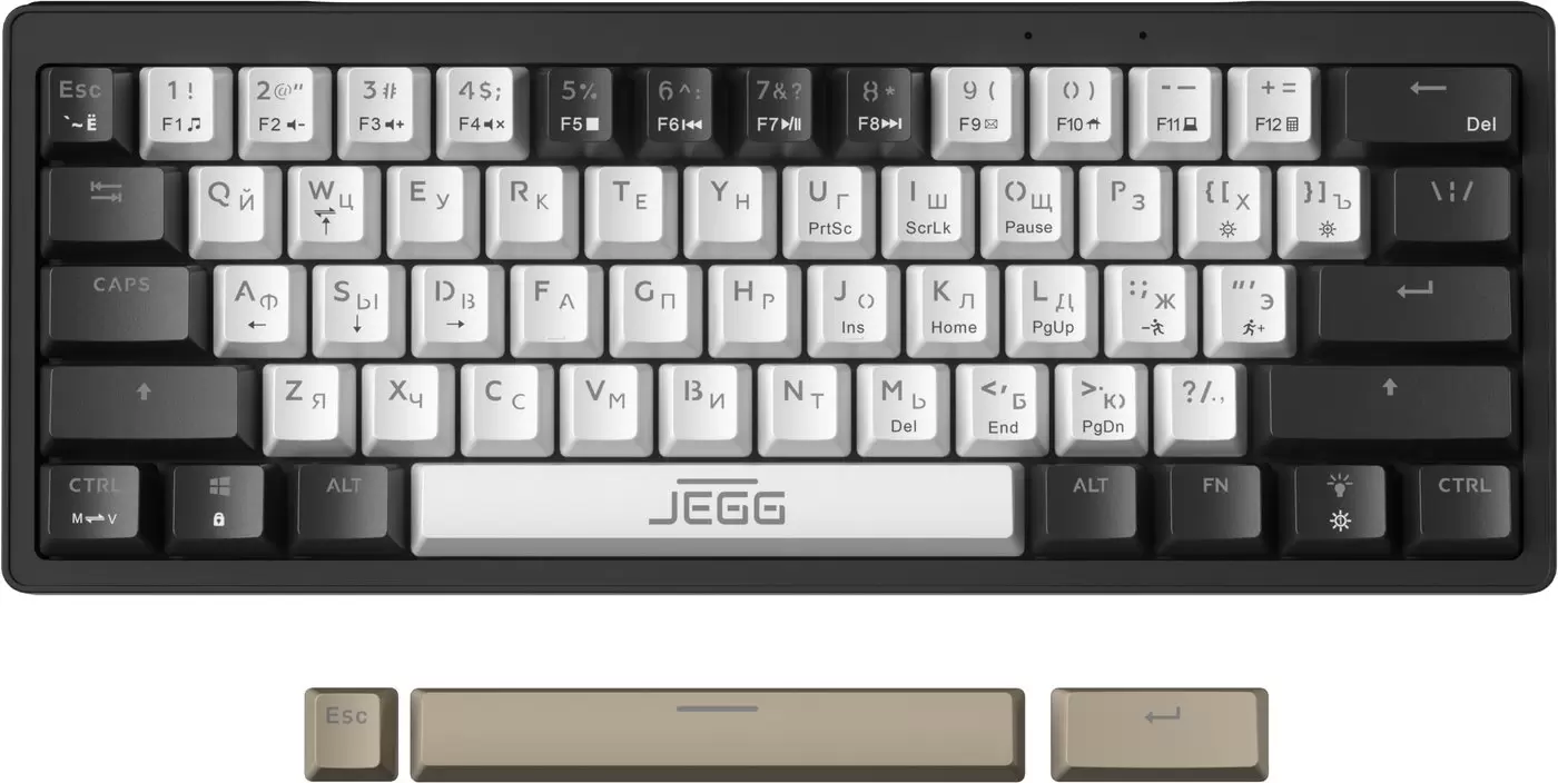 JEGG ZA61 White Black Brown (TNT Yellow)