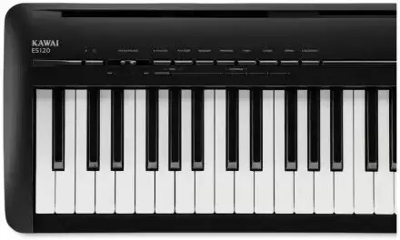Цифровое пианино Kawai Filo ES120 (черный) фото