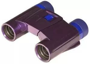 Бинокль Kenko Ultra View 8x21 DH Purple 1114568 фото