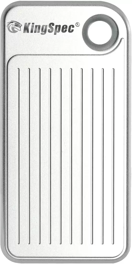 KingSpec Z3S 1TB (серебристый)