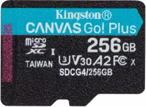 Карта памяти Kingston Canvas Go! microSDXC 256GB SDCG4/256GBSP фото