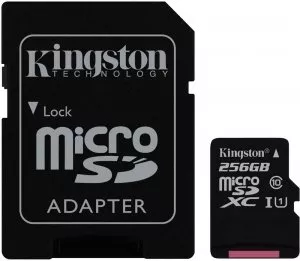 Карта памяти Kingston Canvas Select microSDXC 256Gb (SDCS/256GB) фото