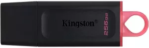 Usb flash disk Kingston DataTraveler Exodia 256Gb (DTX/256GB) фото