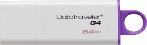 USB-флэш накопитель Kingston DataTraveler G4 64GB (DTIG4/64GB) фото
