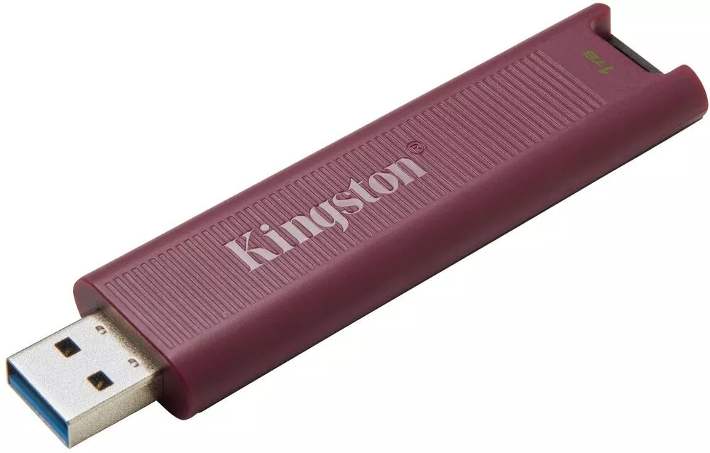 USB Flash Kingston DataTraveler Max Type-A 1TB фото