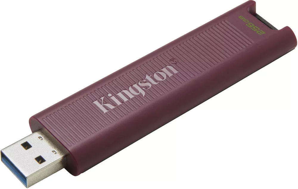 USB Flash Kingston DataTraveler Max Type-A 256GB фото