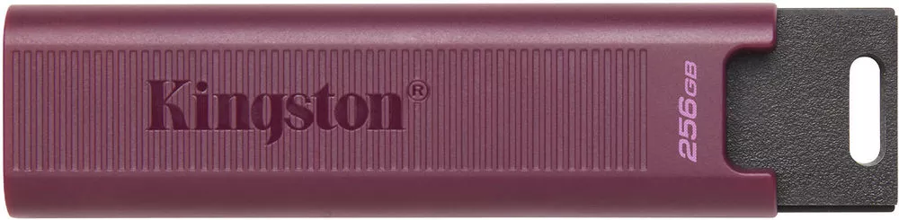 USB Flash Kingston DataTraveler Max Type-A 256GB фото