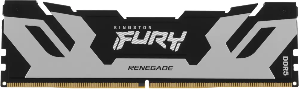 Kingston FURY Renegade Silver KF580C38RS-24