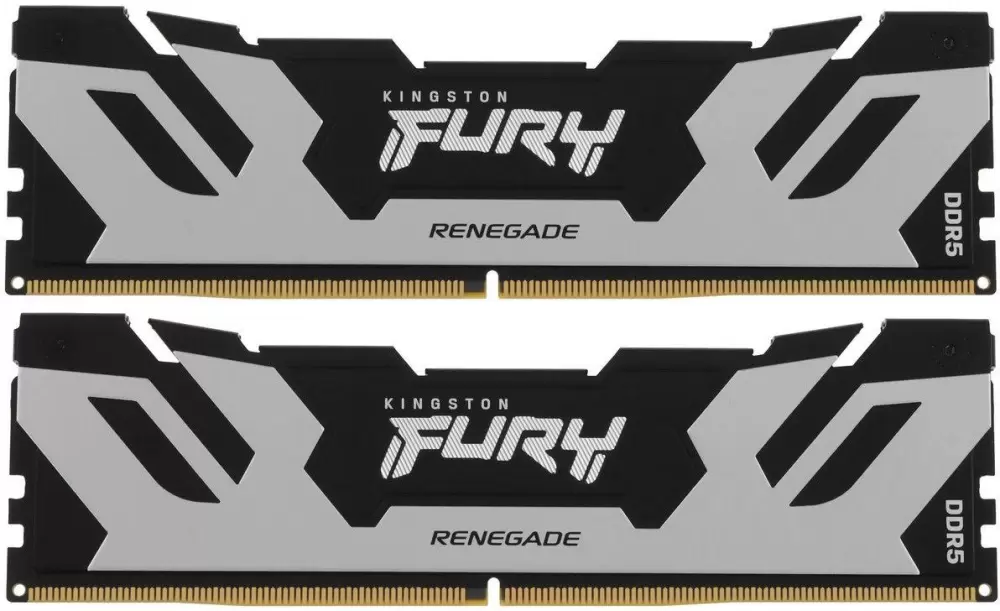 Kingston FURY Renegade Silver KF580C38RSK2-48
