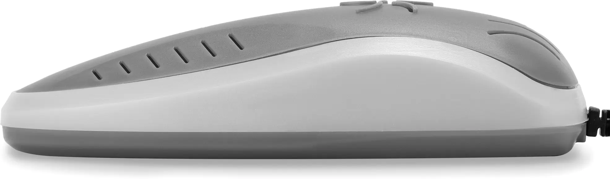 Сушилка для обуви Maxwell MW-4101 фото