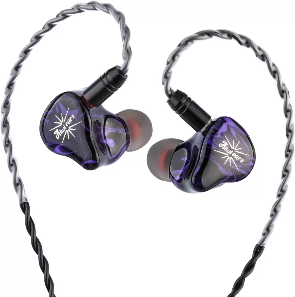 Kiwi Ears Ears Quartet