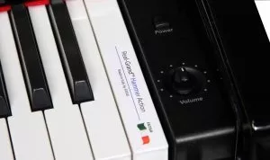 Цифровое пианино Kurzweil MP-10F фото