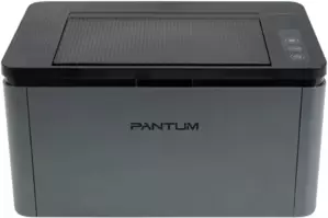 Принтер Pantum BP2302W фото