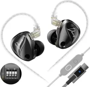 Наушники KZ Acoustics Duonic With Switches USB Type-C (с микрофоном, черный) фото