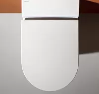 Унитаз Laufen Cleanet Navia Rimless 8206014000001 фото